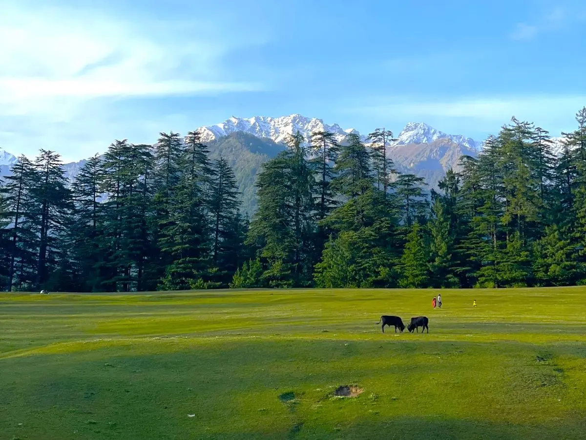 Jibhi - Tirthan Valley Tour Package